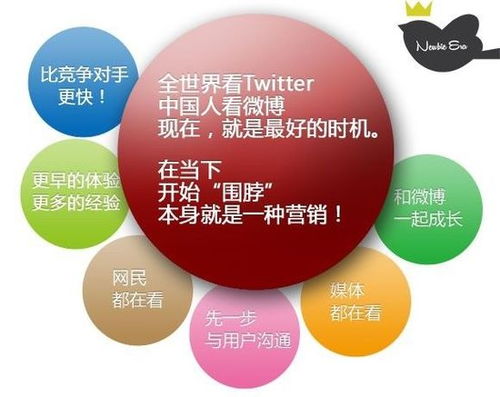 菜鳥時代 互聯(lián)網(wǎng)世界中的網(wǎng)絡(luò)品牌營銷與銷售新解